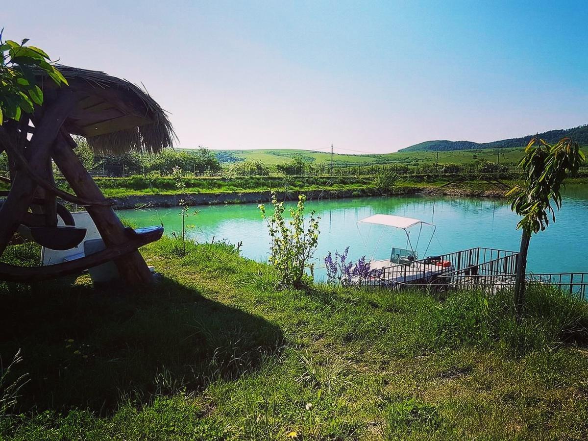 Pastravaria Ursu Vînători-Neamţ Exteriér fotografie